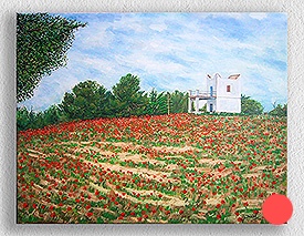 Field of poppies with house