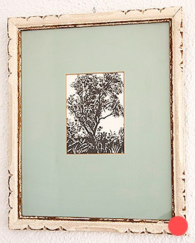 Eucalyptus