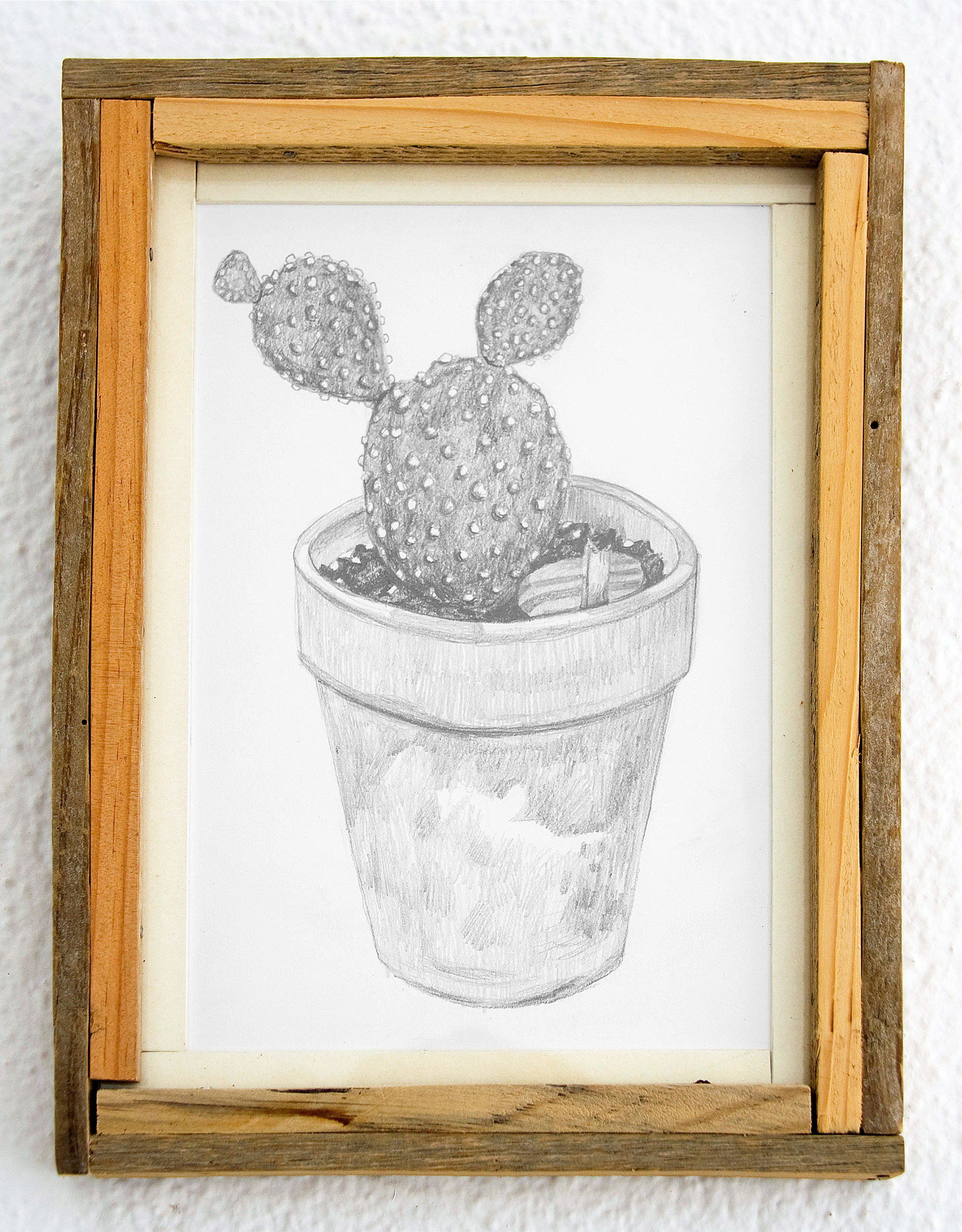 Cactus 6