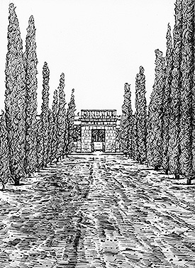Entry with cypresses