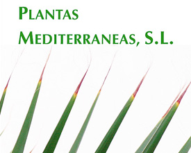 Anuncio 1/2 Plantas Mediterráneas