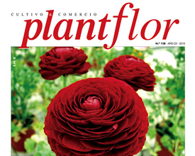 Diseño y Maquetación revista Plantflor